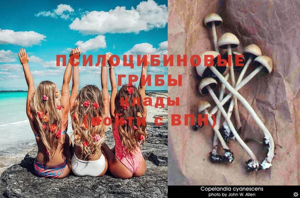 гидра Балахна