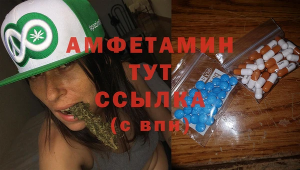 гидра Балахна