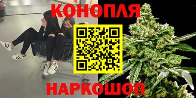 трава Аргун
