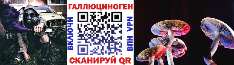 цена   blacksprut ссылки  Галлюциногенные грибы Cubensis  Белогорск 